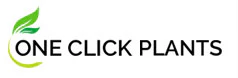One Click Plants